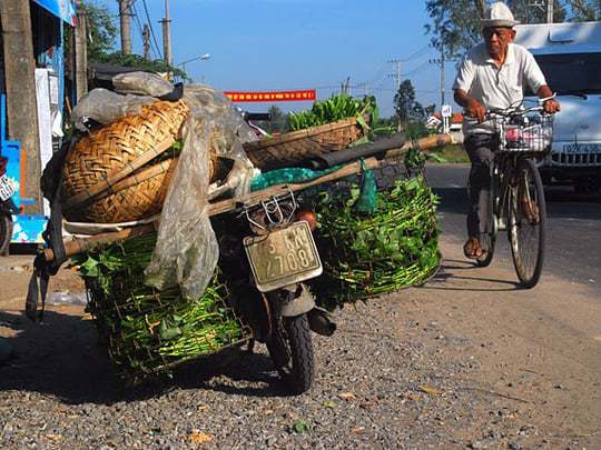 Biking in VIetnam